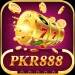 PKR 888 Game