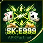 SK-E999 game