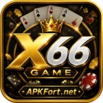 X66 game