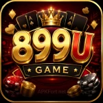 899U Game