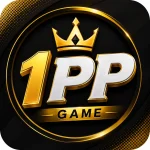 1PP Game
