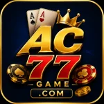 AC77 Game