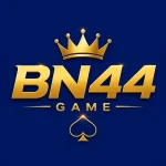 BN44 Game